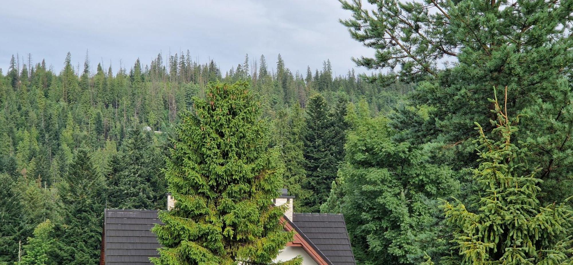 Pokoje Apartamenty Pod Limba Zakopane Dış mekan fotoğraf